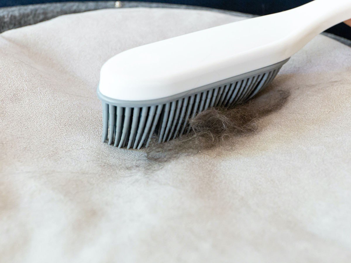 【フミ/Fumi / GOODS】のクッションでくつろぐソファ +pet / クッションでくつろぐソファ セミワイド + ロング(ペット対応生地) インテリア・キッズ・メンズ・レディースファッション・服の通販 founy(ファニー) 　クッション　Cushion, Throw Pillow　シンプル　Simple, Minimal　スマート　Smart, Elegant　ロング　Long, Long-Length　ワイド　Wide, Wide Fit　ワーク　Workwear, Utility Style　ホーム・キャンプ・アウトドア・お取り寄せ　Home Living / Home & Lifestyle / Camping Gear / Outdoor Camping　家具・インテリア　Home Furniture & Interior. Stylish & Functional Living Spaces　その他 インテリア雑貨、家具　Home Decor & Furniture Extras　生地表面にペットの毛が付きにくく、落ちた毛もブラシ等で簡単にお掃除できます。|ID: prp329100004929975 ipo3291000000036999496