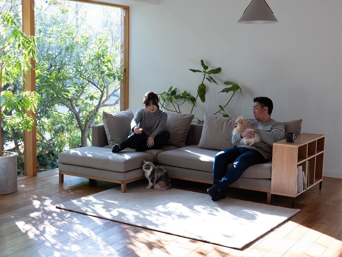 【フミ/Fumi / GOODS】の整うソファ / 整うソファ Mセット インテリア・キッズ・メンズ・レディースファッション・服の通販 founy(ファニー) 　クッション　Cushion, Throw Pillow　猫　Cat, Kitty　ベルベット　Velvet, Velvety　ボックス　Boxy, Box Shape　モダン　Modern, Contemporary　リラックス　Relax, Relaxed Fit　ワイド　Wide, Wide Fit　ホーム・キャンプ・アウトドア・お取り寄せ　Home Living / Home & Lifestyle / Camping Gear / Outdoor Camping　家具・インテリア　Home Furniture & Interior. Stylish & Functional Living Spaces　その他 インテリア雑貨、家具　Home Decor & Furniture Extras　|ID: prp329100004930293 ipo3291000000037002911