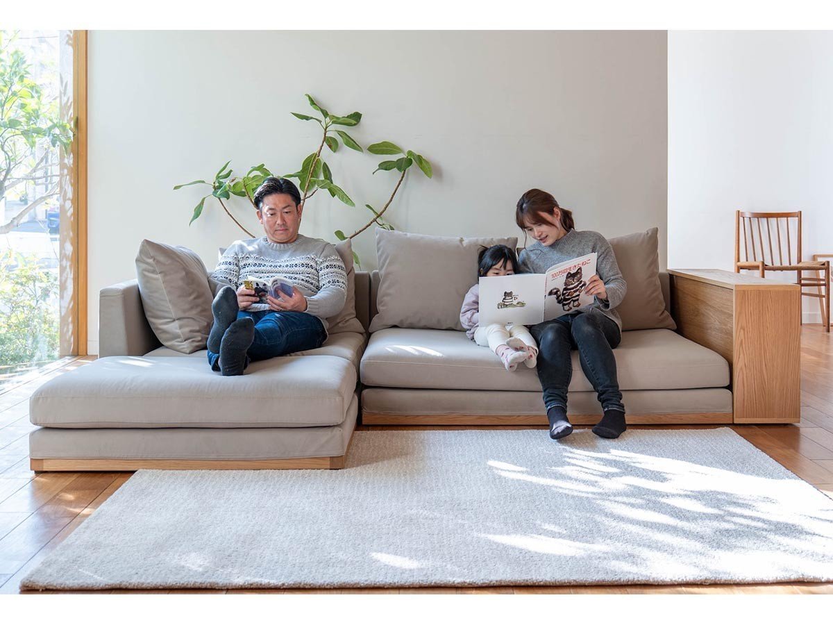 【フミ/Fumi / GOODS】の整うソファ / 整うソファ Mセット インテリア・キッズ・メンズ・レディースファッション・服の通販 founy(ファニー) 　クッション　Cushion, Throw Pillow　猫　Cat, Kitty　ベルベット　Velvet, Velvety　ボックス　Boxy, Box Shape　モダン　Modern, Contemporary　リラックス　Relax, Relaxed Fit　ワイド　Wide, Wide Fit　ホーム・キャンプ・アウトドア・お取り寄せ　Home Living / Home & Lifestyle / Camping Gear / Outdoor Camping　家具・インテリア　Home Furniture & Interior. Stylish & Functional Living Spaces　その他 インテリア雑貨、家具　Home Decor & Furniture Extras　|ID: prp329100004930293 ipo3291000000037002927