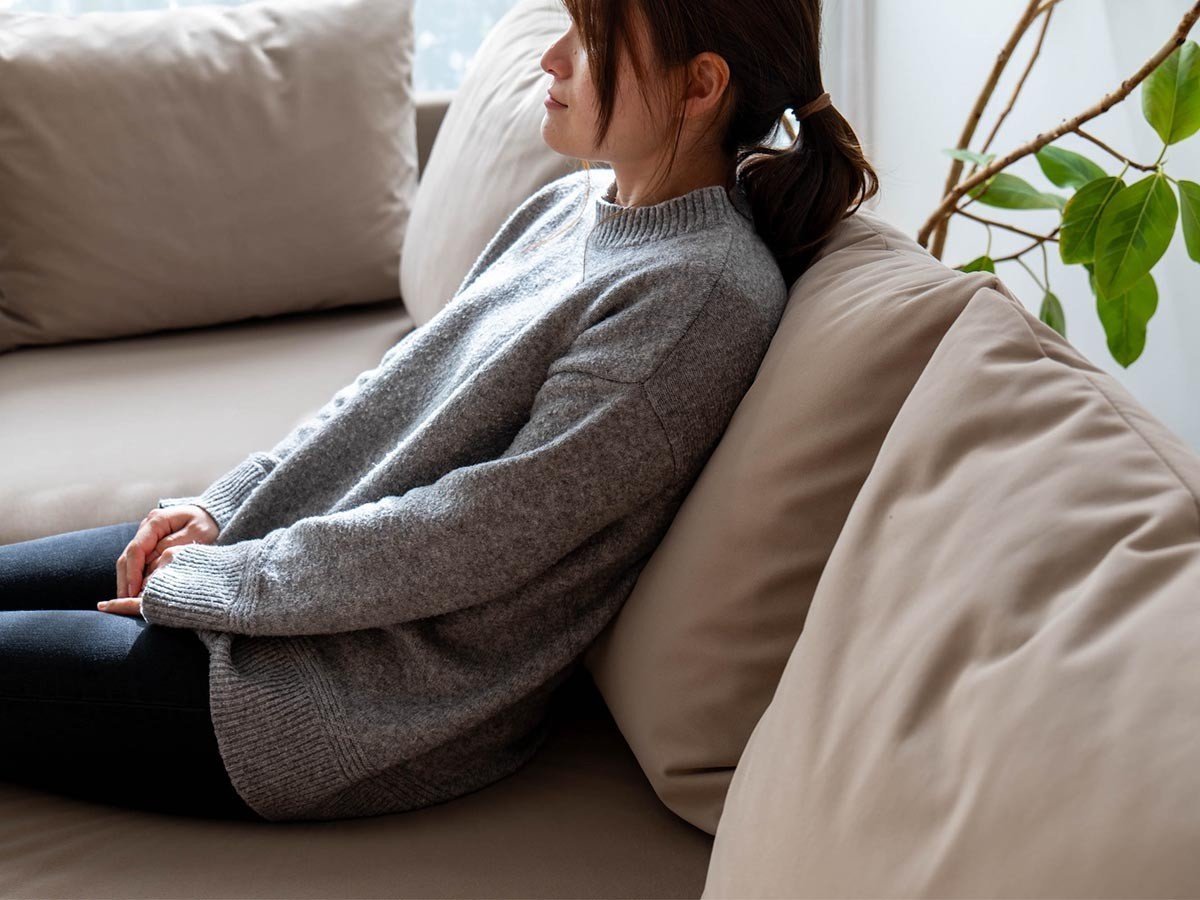 【フミ/Fumi / GOODS】の整うソファ / 整うソファ Mセット インテリア・キッズ・メンズ・レディースファッション・服の通販 founy(ファニー) 　クッション　Cushion, Throw Pillow　猫　Cat, Kitty　ベルベット　Velvet, Velvety　ボックス　Boxy, Box Shape　モダン　Modern, Contemporary　リラックス　Relax, Relaxed Fit　ワイド　Wide, Wide Fit　ホーム・キャンプ・アウトドア・お取り寄せ　Home Living / Home & Lifestyle / Camping Gear / Outdoor Camping　家具・インテリア　Home Furniture & Interior. Stylish & Functional Living Spaces　その他 インテリア雑貨、家具　Home Decor & Furniture Extras　|ID: prp329100004930293 ipo3291000000037002931