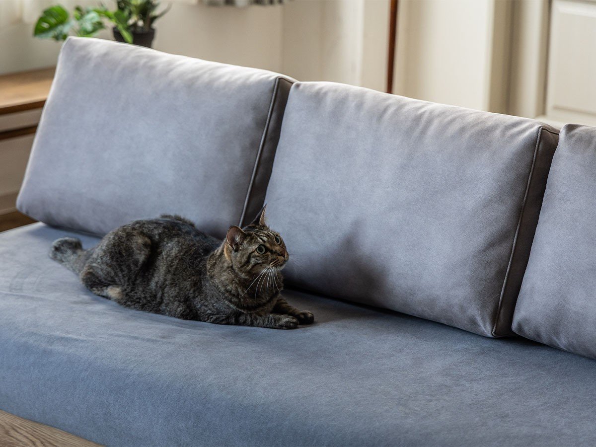 【イージーライフ/Easy Life / GOODS】のHUSKY SOFA BED / ハスキー ソファベッド スエード調 インテリア・キッズ・メンズ・レディースファッション・服の通販 founy(ファニー) 　クッション　Cushion, Throw Pillow　スマート　Smart, Elegant　フレーム　Frame, Outline　モダン　Modern, Contemporary　エレガント 上品　Elegant　ホーム・キャンプ・アウトドア・お取り寄せ　Home Living / Home & Lifestyle / Camping Gear / Outdoor Camping　家具・インテリア　Home Furniture & Interior. Stylish & Functional Living Spaces　ソファー　Couches & Sofas　オプションの座面カバーはペット対応生地です。|ID: prp329100004930492 ipo3291000000037005163