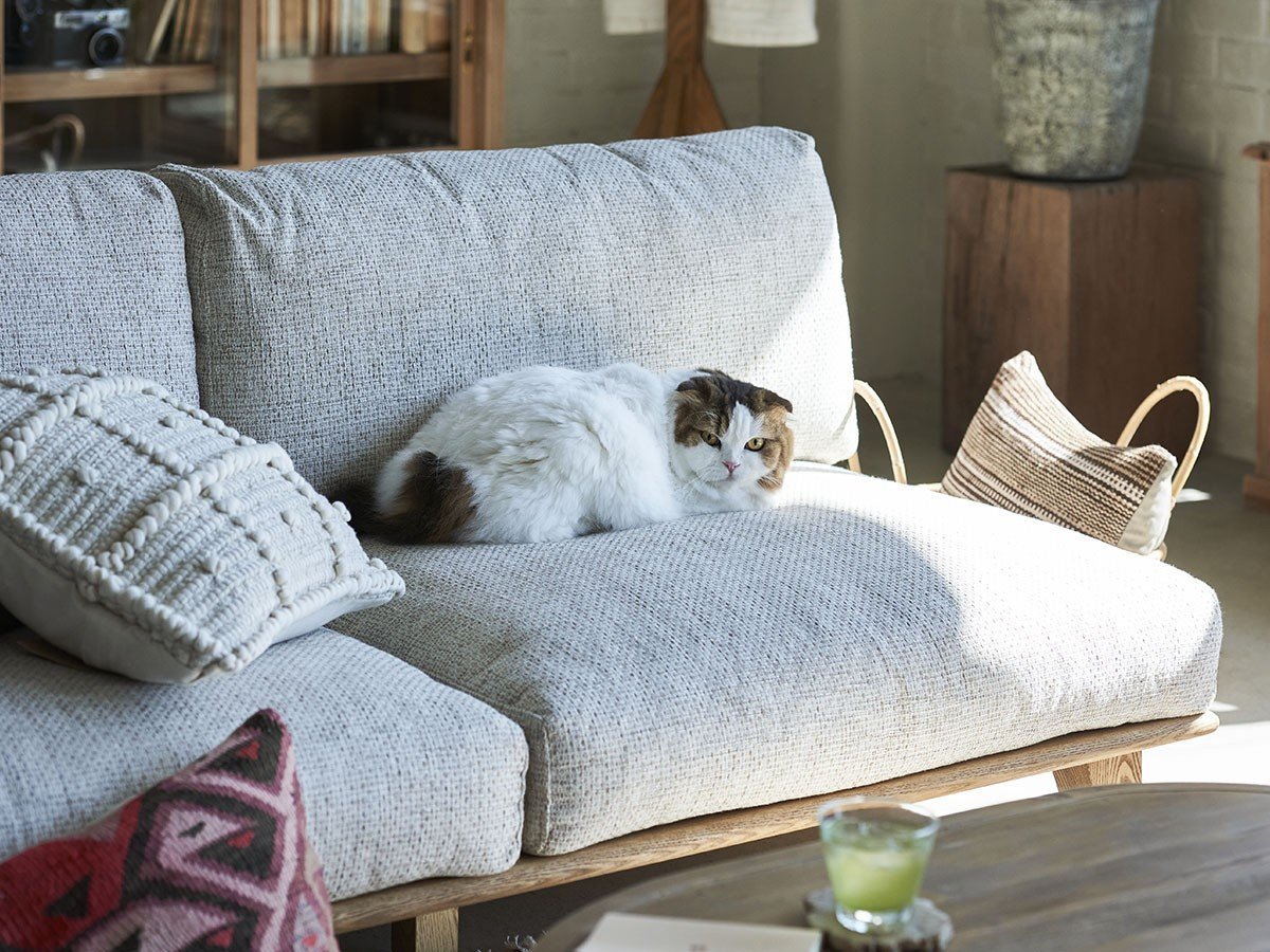 【クラッシュゲート/CRASH GATE / GOODS】のDELKA SOFA 1.5P / デルカ ソファ 1.5人掛け インテリア・キッズ・メンズ・レディースファッション・服の通販 founy(ファニー) 　クッション　Cushion, Throw Pillow　フェザー　Feather, Feather Detail　ホーム・キャンプ・アウトドア・お取り寄せ　Home Living / Home & Lifestyle / Camping Gear / Outdoor Camping　家具・インテリア　Home Furniture & Interior. Stylish & Functional Living Spaces　ソファー　Couches & Sofas　参考イメージ|ID: prp329100004930518 ipo3291000000037005563