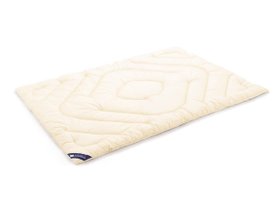 【エアウィーヴ/airweave / GOODS】のairweave hyperdown featherless / エアウィーヴ ハイパーダウン フェザーレス(かけ布団 / 秋冬モデル) 人気、トレンドファッション・服の通販 founy(ファニー) 洗える Machine Washable キルト Quilt, Quilted Fabric なめらか Smooth, Silky Texture パターン Pattern, Design Print フィット Fit, Slim Fit フェザー Feather, Feather Detail A/W・秋冬 Autumn/Winter 送料無料 Free Shipping ホーム・キャンプ・アウトドア・お取り寄せ Home Living / Home & Lifestyle / Camping Gear / Outdoor Camping 家具・インテリア Home Furniture & Interior. Stylish & Functional Living Spaces その他 インテリア雑貨、家具 Home Decor & Furniture Extras |ID:prp329100004938897