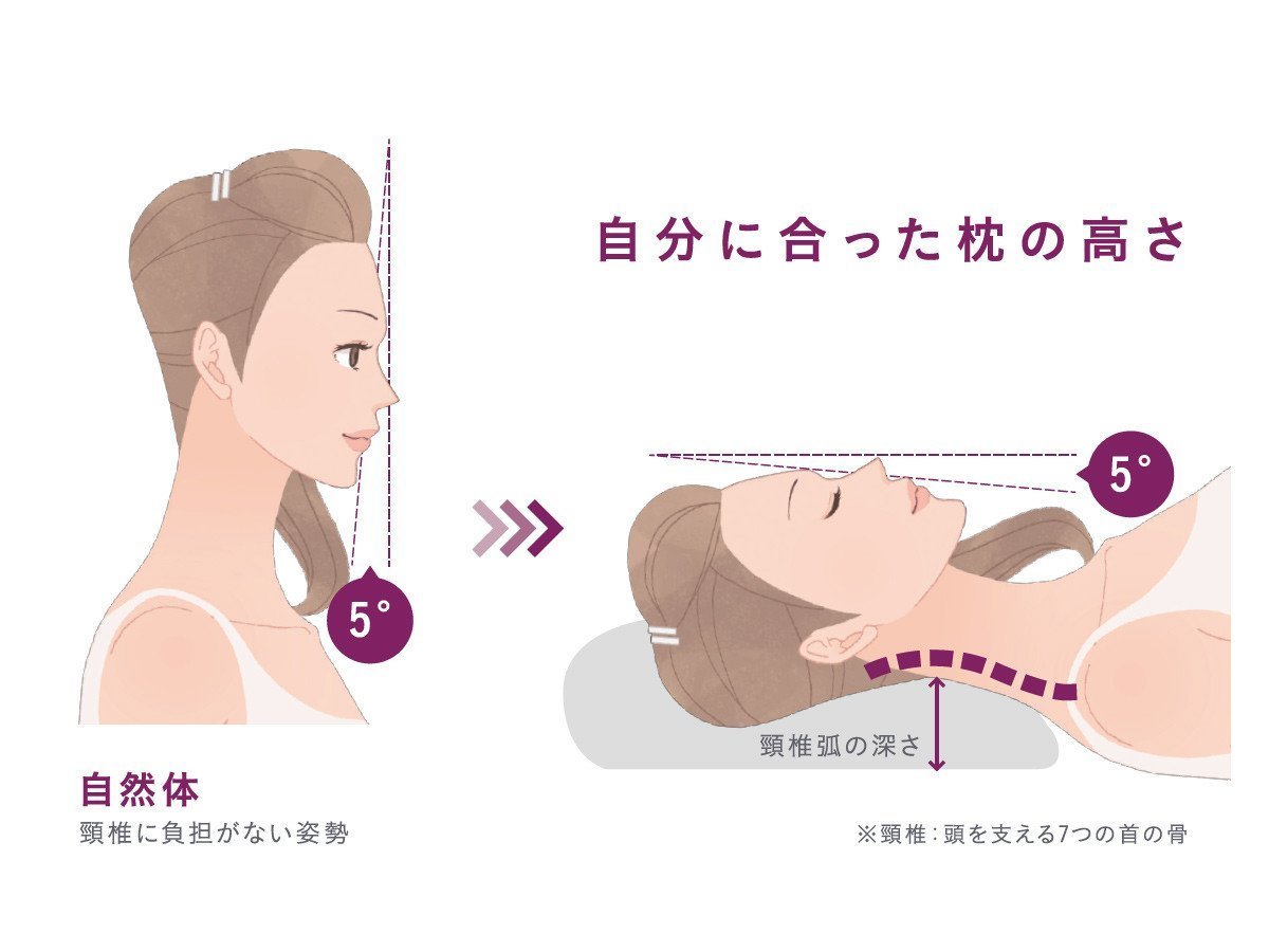 【ロフテー/LOFTY / GOODS】の5セルピロー エラスティックパイプ / 5セルピロー エラスティックパイプ LT-040 インテリア・キッズ・メンズ・レディースファッション・服の通販 founy(ファニー) 　送料無料　Free Shipping　ストレート　Straight, Straight Cut　バランス　Balance, Style Balance　フィット　Fit, Slim Fit　メッシュ　Mesh, Net Fabric　ホーム・キャンプ・アウトドア・お取り寄せ　Home Living / Home & Lifestyle / Camping Gear / Outdoor Camping　家具・インテリア　Home Furniture & Interior. Stylish & Functional Living Spaces　その他 インテリア雑貨、家具　Home Decor & Furniture Extras　身体に一番負担が少ない姿勢はリラックスをして立っている時と同じ状態です。この時の顔の角度は約5度。寝|ID: prp329100004939155 ipo3291000000037063477