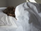 【ノルディック スリープ/NORDIC SLEEP / GOODS】のDuvet Winter / デュベ ウィンター 参考イメージ|ID: prp329100004939413 ipo3291000000037065241
