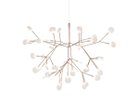 【モーイ/moooi / GOODS】のHeracleum III Small / ヘラクレウム 3 スモール 人気、トレンドファッション・服の通販 founy(ファニー) 送料無料 Free Shipping フレーム Frame, Outline モチーフ Motif, Design Theme ワイヤー Wire, Wired Bra ホーム・キャンプ・アウトドア・お取り寄せ Home Living / Home & Lifestyle / Camping Gear / Outdoor Camping 家具・インテリア Home Furniture & Interior. Stylish & Functional Living Spaces ライト・照明 Lamps & Lighting Fixtures ペンダントライト・吊り下げ照明 Pendant Light / Hanging Light Fixture thumbnail カッパー|ID: prp329100004940107 ipo3291000000037073267