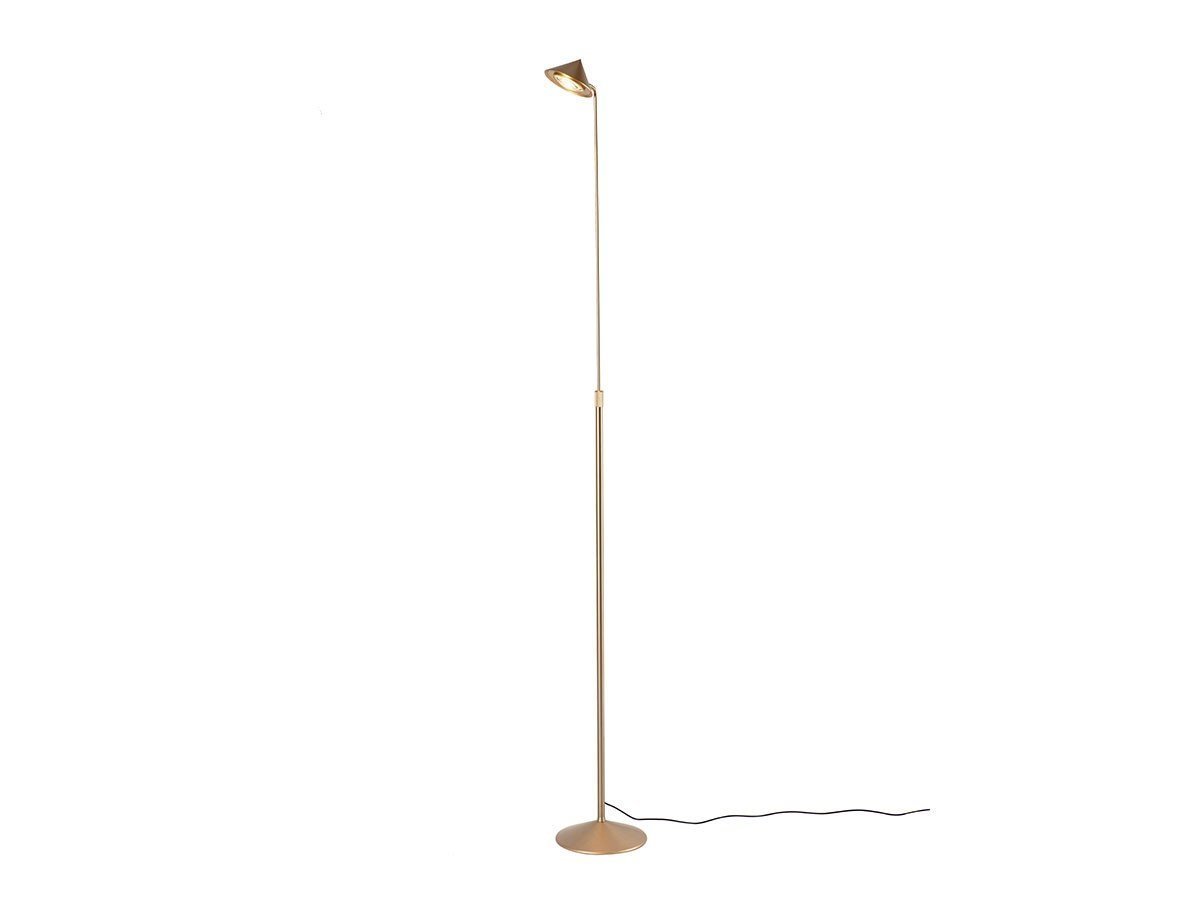 【トゥビセン/Tubicen / GOODS】のZEN / ゼン インテリア・キッズ・メンズ・レディースファッション・服の通販 founy(ファニー) 　送料無料　Free Shipping　シンプル　Simple, Minimal　フォルム　Silhouette, Form　ホーム・キャンプ・アウトドア・お取り寄せ　Home Living / Home & Lifestyle / Camping Gear / Outdoor Camping　家具・インテリア　Home Furniture & Interior. Stylish & Functional Living Spaces　ライト・照明　Lamps & Lighting Fixtures　フロアランプ・スタンドライト　Floor Lamp / Standing Lamp　ゴールド|ID: prp329100004940164 ipo3291000000037073927