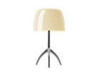 【フォスカリーニ/FOSCARINI / GOODS】のLumiere Table / ルミエール テーブル シェードウォームホワイト、本体アルミニウム|ID: prp329100004940523 ipo3291000000037077312