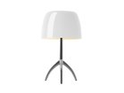 【フォスカリーニ/FOSCARINI / GOODS】のLumiere Table / ルミエール テーブル シェードウォームホワイト、本体アルミニウム|ID: prp329100004940523 ipo3291000000037077331