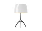 【フォスカリーニ/FOSCARINI / GOODS】のLumiere Table / ルミエール テーブル シェードウォームホワイト、本体ブラッククローム|ID: prp329100004940523 ipo3291000000037077334