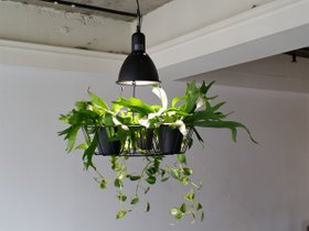 【フライミー ファクトリー/FLYMEe Factory / GOODS】のGreen Pendant Light / グリーン ペンダントライト #121947 人気、トレンドファッション・服の通販 founy(ファニー) 送料無料 Free Shipping テーブル Table, Dining Table バスケット Basket, Basket Bag バランス Balance, Style Balance ワイヤー Wire, Wired Bra ホーム・キャンプ・アウトドア・お取り寄せ Home Living / Home & Lifestyle / Camping Gear / Outdoor Camping 家具・インテリア Home Furniture & Interior. Stylish & Functional Living Spaces ライト・照明 Lamps & Lighting Fixtures ペンダントライト・吊り下げ照明 Pendant Light / Hanging Light Fixture |ID:prp329100004940555