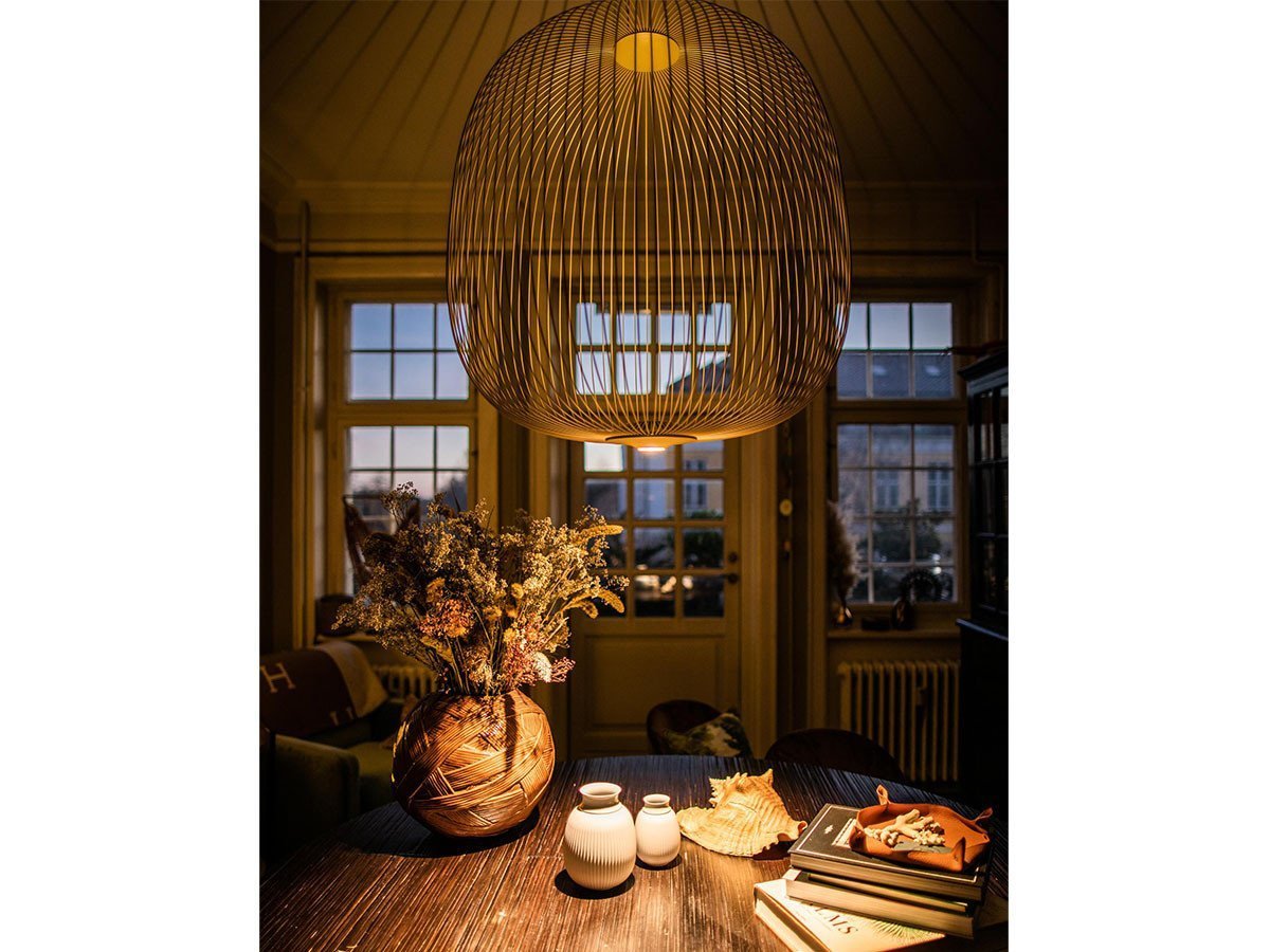 【フォスカリーニ/FOSCARINI / GOODS】のSpokes 2 Midi Pendant / スポークス 2 ミディ ペンダント インテリア・キッズ・メンズ・レディースファッション・服の通販 founy(ファニー) 　送料無料　Free Shipping　シンプル　Simple, Minimal　フォルム　Silhouette, Form　メタル　Metal, Metal Parts　ホーム・キャンプ・アウトドア・お取り寄せ　Home Living / Home & Lifestyle / Camping Gear / Outdoor Camping　家具・インテリア　Home Furniture & Interior. Stylish & Functional Living Spaces　ライト・照明　Lamps & Lighting Fixtures　ペンダントライト・吊り下げ照明　Pendant Light / Hanging Light Fixture　参考イメージ|ID: prp329100004940744 ipo3291000000037079073