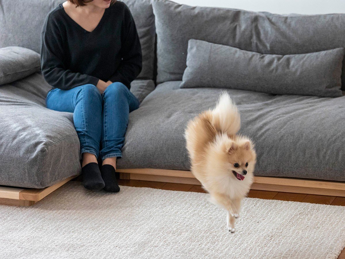 【フミ/Fumi / GOODS】の幸せになるソファ / 幸せになるソファ ワイド(コーデュロイ) インテリア・キッズ・メンズ・レディースファッション・服の通販 founy(ファニー) 　クッション　Cushion, Throw Pillow　コーデュロイ　Corduroy, Cord Fabric　スマート　Smart, Elegant　タオル　Towel, Bath Towel　テーブル　Table, Dining Table　フェザー　Feather, Feather Detail　ワイド　Wide, Wide Fit　冬　Winter / This Winter　おすすめ　Recommended / Our Picks　夏　Summer　ホーム・キャンプ・アウトドア・お取り寄せ　Home Living / Home & Lifestyle / Camping Gear / Outdoor Camping　家具・インテリア　Home Furniture & Interior. Stylish & Functional Living Spaces　その他 インテリア雑貨、家具　Home Decor & Furniture Extras　「ロータイプ脚部」参考イメージ|ID: prp329100004940964 ipo3291000000037081947