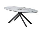【フライミー ノワール/FLYMEe Noir / GOODS】のOval Dining Table / オーバルダイニングテーブル X脚 #122577 -|ID: prp329100004941729 ipo3291000000037088959