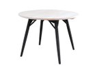 【北の住まい設計社/KITANOSUMAISEKKEISHA / GOODS】のRound Table / ラウンド テーブル 天板:イタヤカエデ(ソープ仕上)、脚部:グラファイトグレー(エッグテンペラ塗装)、サイズ:直径105|ID: prp329100004941734 ipo3291000000037275635