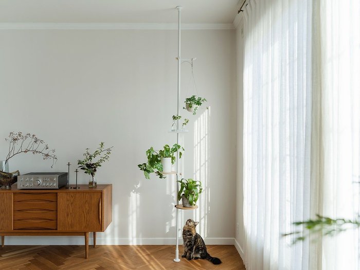 【ドロー ア ライン/DRAW A LINE / GOODS】のHanging Planter Rack Set / つるすプランターラック セット インテリア・キッズ・メンズ・レディースファッション・服の通販 founy(ファウニー) https://founy.com/ アクセサリー Fashion Accessories スタンド Stand Collar, Upright Stand テーブル Table, Dining Table フラワー Flower, Floral マグネット Magnet, Magnetic Closure 送料無料 Free Shipping ホーム・キャンプ・アウトドア・お取り寄せ Home Living / Home & Lifestyle / Camping Gear / Outdoor Camping 家具・インテリア Home Furniture & Interior. Stylish & Functional Living Spaces テーブル Dining, Coffee & Side Tables サイドテーブル・ナイトテーブル Side & End Tables |ID: prp329100004943585 ipo3291000000037105810