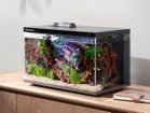 【ビオリウム/Biorium / GOODS】のBiorium Smart Aquarium / ビオリウム スマートアクアリウム -|ID: prp329100004943916 ipo3291000000037108094