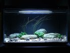 【ビオリウム/Biorium / GOODS】のBiorium Smart Aquarium / ビオリウム スマートアクアリウム |ID: prp329100004943916 ipo3291000000037108096