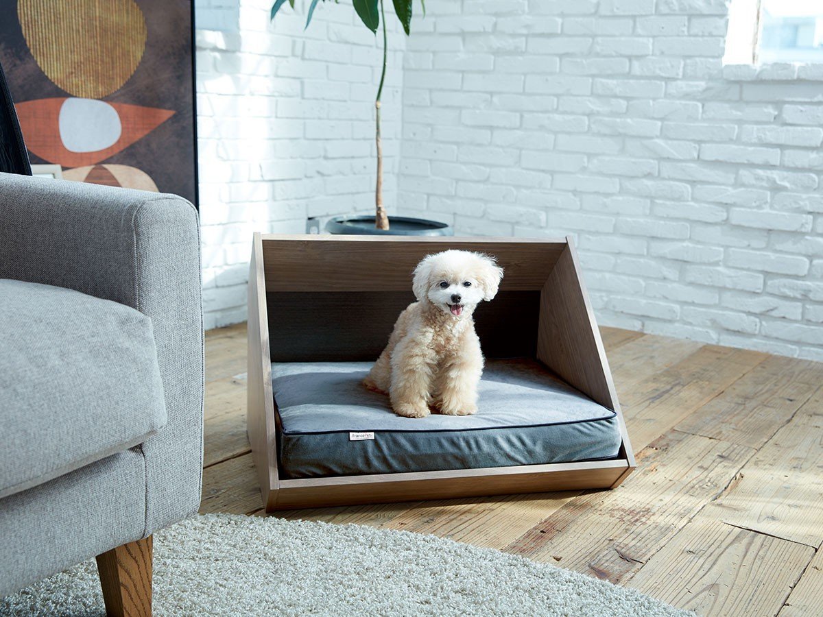 【フランスペット/FRANCE PET / GOODS】のPet House Stage inn / ペットハウス ステージ イン インテリア・キッズ・メンズ・レディースファッション・服の通販 founy(ファニー) 　洗える　Machine Washable　クッション　Cushion, Throw Pillow　スリット　Slit, Slit Detail　リラックス　Relax, Relaxed Fit　送料無料　Free Shipping　ホーム・キャンプ・アウトドア・お取り寄せ　Home Living / Home & Lifestyle / Camping Gear / Outdoor Camping　家具・インテリア　Home Furniture & Interior. Stylish & Functional Living Spaces　その他 インテリア雑貨、家具　Home Decor & Furniture Extras　-|ID: prp329100004944682 ipo3291000000037113257