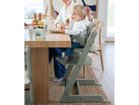 【ストッケ/STOKKE / GOODS】のTRIPP TRAPP / トリップ トラップ 組合せ例:トリップ トラップ(グレイシアグリーン) + ベビーセット(グレイシアグリーン) + クラ|ID: prp329100004944716 ipo3291000000037113981