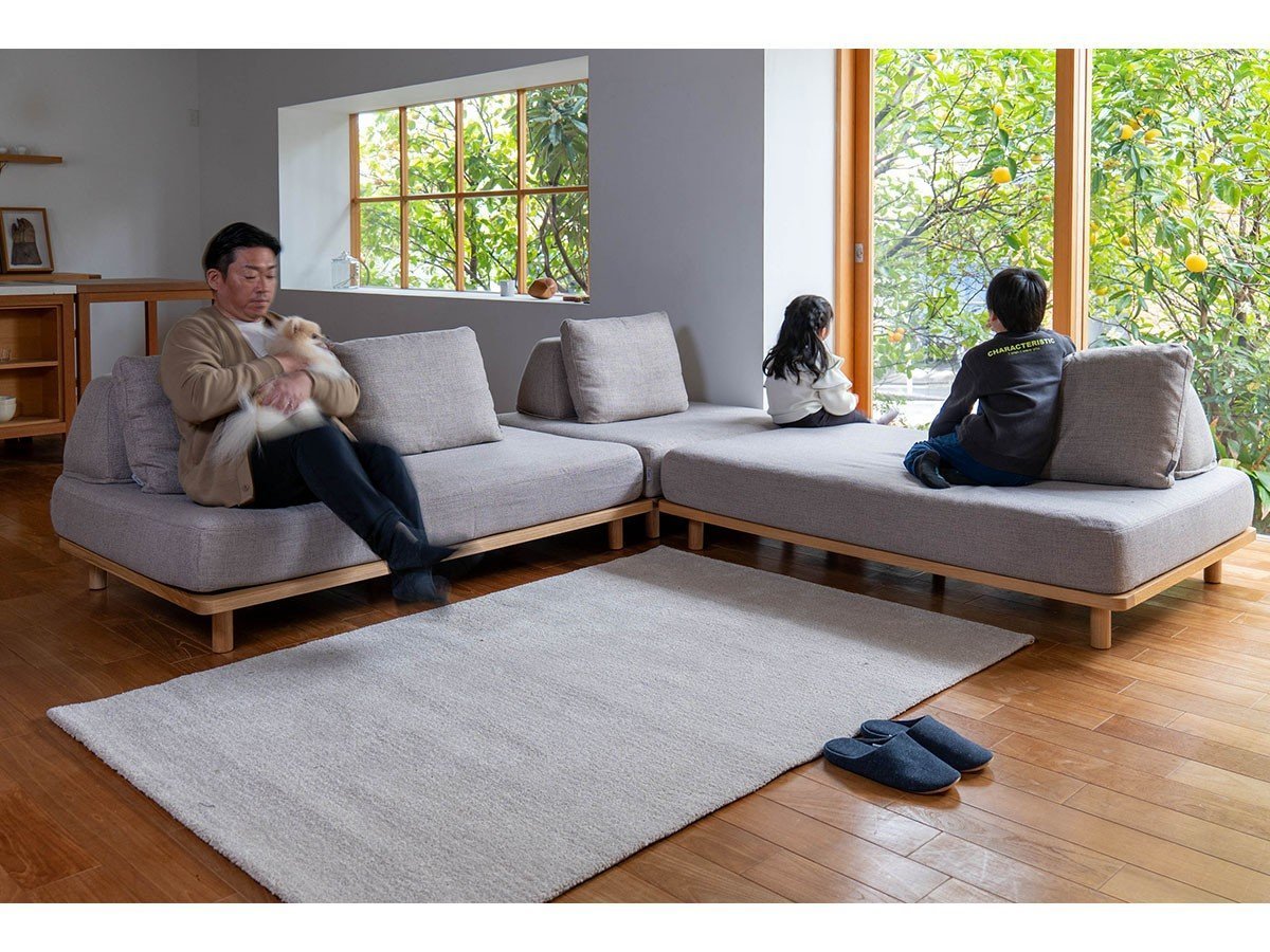 【フミ/Fumi / GOODS】の無駄のないソファ +pet / 無駄のないソファ ベース Sサイズ(ペット対応生地) インテリア・キッズ・メンズ・レディースファッション・服の通販 founy(ファニー) 　クッション　Cushion, Throw Pillow　フラット　Flat, Flat Shoes　送料無料　Free Shipping　ホーム・キャンプ・アウトドア・お取り寄せ　Home Living / Home & Lifestyle / Camping Gear / Outdoor Camping　家具・インテリア　Home Furniture & Interior. Stylish & Functional Living Spaces　その他 インテリア雑貨、家具　Home Decor & Furniture Extras　参考イメージ|ID: prp329100004944741 ipo3291000000037114483