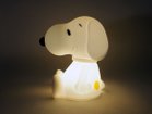 【ミスターマリア/Mr Maria / GOODS】のFirst Light Snoopy / ファーストライト スヌーピー Copyright:2024 Peanuts Worldwide LLC|ID: prp329100004944804 ipo3291000000037115269