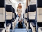 【ストッケ/STOKKE / GOODS】のJETKIDS BY STOKKE BED BOX / ジェットキッズ BY ストッケ ベッドボックス JAL、ANAを含む50社以上の航空会社で、機内持ち込み・使用が可能です。|ID: prp329100004945000 ipo3291000000037116597