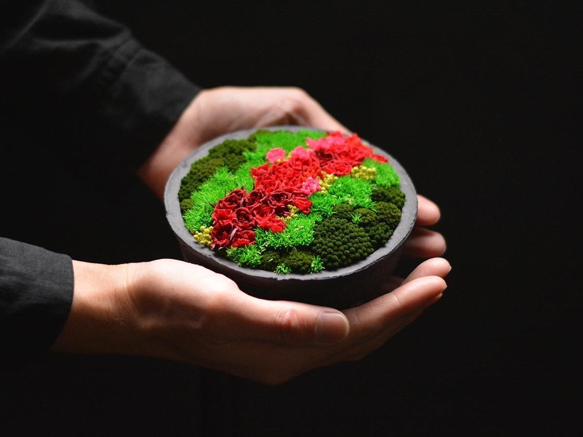 【雨/Ame / GOODS】の花山 - Hanayama - / 花山 プリザーブドフラワー 小の小 インテリア・キッズ・メンズ・レディースファッション・服の通販 founy(ファニー) 　送料無料　Free Shipping　バランス　Balance, Style Balance　ホーム・キャンプ・アウトドア・お取り寄せ　Home Living / Home & Lifestyle / Camping Gear / Outdoor Camping　家具・インテリア　Home Furniture & Interior. Stylish & Functional Living Spaces　その他 インテリア雑貨、家具　Home Decor & Furniture Extras　カラーパターン:あかね山|ID: prp329100004945591 ipo3291000000037119820