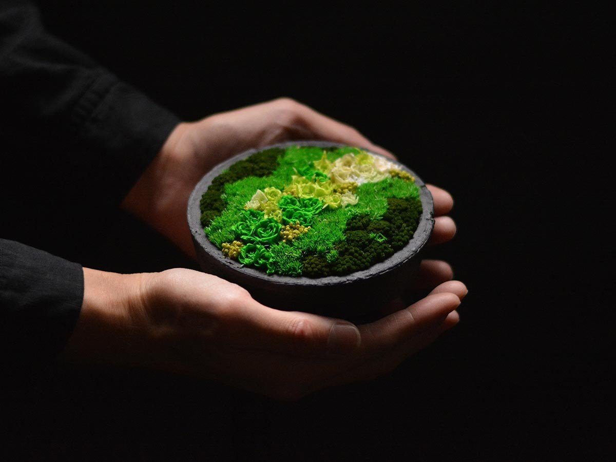 【雨/Ame / GOODS】の花山 - Hanayama - / 花山 プリザーブドフラワー 小の小 インテリア・キッズ・メンズ・レディースファッション・服の通販 founy(ファニー) 　送料無料　Free Shipping　バランス　Balance, Style Balance　ホーム・キャンプ・アウトドア・お取り寄せ　Home Living / Home & Lifestyle / Camping Gear / Outdoor Camping　家具・インテリア　Home Furniture & Interior. Stylish & Functional Living Spaces　その他 インテリア雑貨、家具　Home Decor & Furniture Extras　カラーパターン:ときわ山|ID: prp329100004945591 ipo3291000000037119829