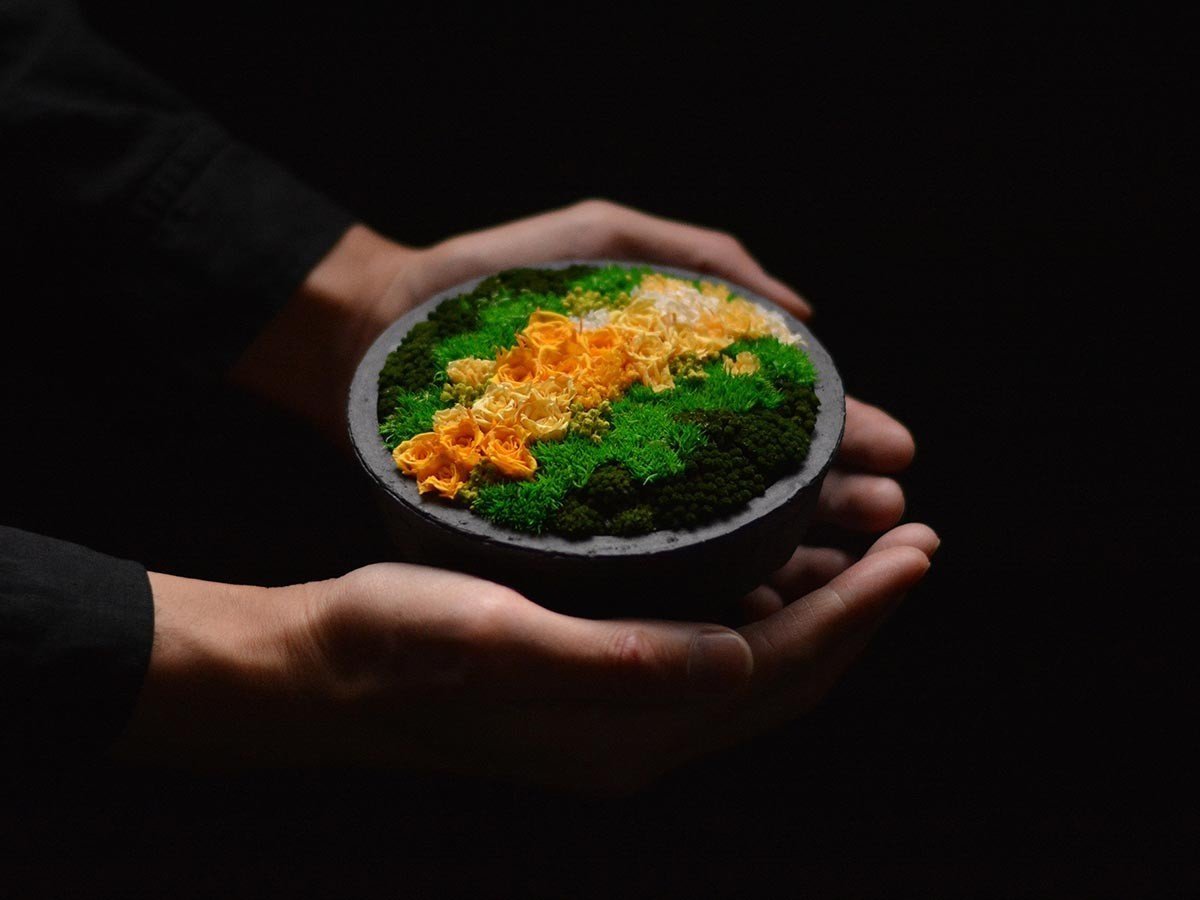 【雨/Ame / GOODS】の花山 - Hanayama - / 花山 プリザーブドフラワー 小の小 インテリア・キッズ・メンズ・レディースファッション・服の通販 founy(ファニー) 　送料無料　Free Shipping　バランス　Balance, Style Balance　ホーム・キャンプ・アウトドア・お取り寄せ　Home Living / Home & Lifestyle / Camping Gear / Outdoor Camping　家具・インテリア　Home Furniture & Interior. Stylish & Functional Living Spaces　その他 インテリア雑貨、家具　Home Decor & Furniture Extras　カラーパターン:はる山|ID: prp329100004945591 ipo3291000000037119830