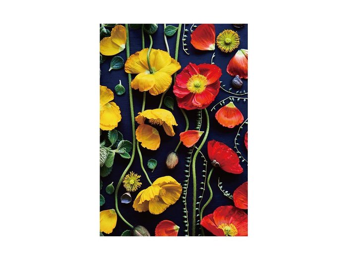 【その他のブランド/Other】のBotanic Poppy / ボタニック ポピー レクタングルL インテリア・キッズ・メンズ・レディースファッション・服の通販 founy(ファウニー) https://founy.com/ 送料無料 Free Shipping オレンジ Orange 軽量 Lightweight, Ultra Light |ID: prp329100004945635 ipo3291000000037120105