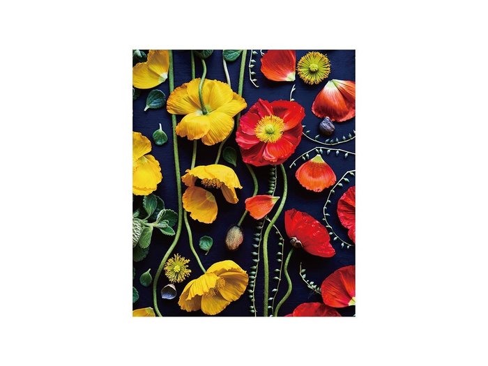 【その他のブランド/Other】のBotanic Poppy / ボタニック ポピー レクタングルM インテリア・キッズ・メンズ・レディースファッション・服の通販 founy(ファウニー) https://founy.com/ 送料無料 Free Shipping オレンジ Orange 軽量 Lightweight, Ultra Light |ID: prp329100004945636 ipo3291000000037120112