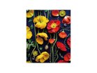 【その他のブランド/Other】のBotanic Poppy / ボタニック ポピー レクタングルM -|ID: prp329100004945636 ipo3291000000037120113