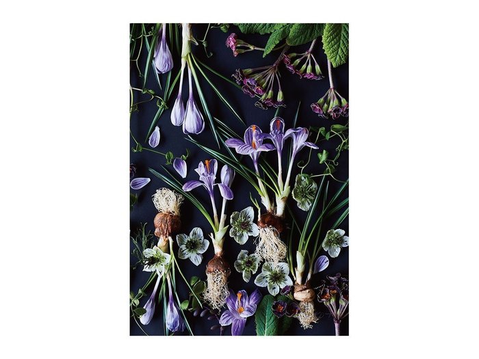 【その他のブランド/Other】のBotanic Crocus / ボタニック クロッカス レクタングルXL インテリア・キッズ・メンズ・レディースファッション・服の通販 founy(ファウニー) https://founy.com/ 送料無料 Free Shipping 軽量 Lightweight, Ultra Light |ID: prp329100004945642 ipo3291000000037120140