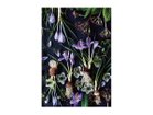 【その他のブランド/Other】のBotanic Crocus / ボタニック クロッカス レクタングルXL -|ID: prp329100004945642 ipo3291000000037120141