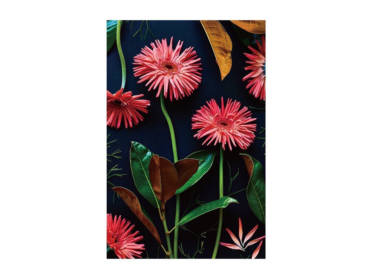 【その他のブランド/Other】のBotanic Daisy / ボタニック デイジー レクタングルLL 人気、トレンドファッション・服の通販 founy(ファニー) 　送料無料　Free Shipping　クラシカル　Classical, Vintage-Inspired　モダン　Modern, Contemporary　軽量　Lightweight, Ultra Light　 other-1|ID: prp329100004945643 ipo3291000000037120147