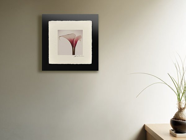 【アイグレボゥ/IGREBOW / GOODS】のカラー / カラー 1 × 1[ CF-66-2 ] 人気、トレンドファッション・服の通販 founy(ファニー) 　送料無料　Free Shipping　フラット　Flat, Flat Shoes　プリント　Print, Printed Pattern　モダン　Modern, Contemporary　ランダム　Random, Irregular　 other-1|ID: prp329100004945697 ipo3291000000037120423