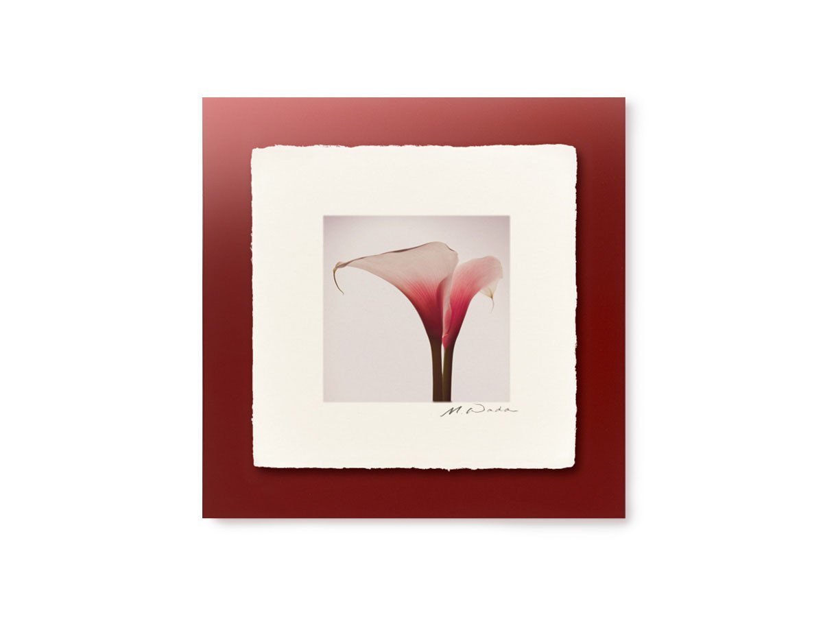 【アイグレボゥ/IGREBOW / GOODS】のカラー / カラー 1 × 1[ CF-66-2 ] インテリア・キッズ・メンズ・レディースファッション・服の通販 founy(ファニー) 　送料無料　Free Shipping　フラット　Flat, Flat Shoes　プリント　Print, Printed Pattern　モダン　Modern, Contemporary　ランダム　Random, Irregular　額装タイプ:越前塗板額(赤)|ID: prp329100004945697 ipo3291000000037120426