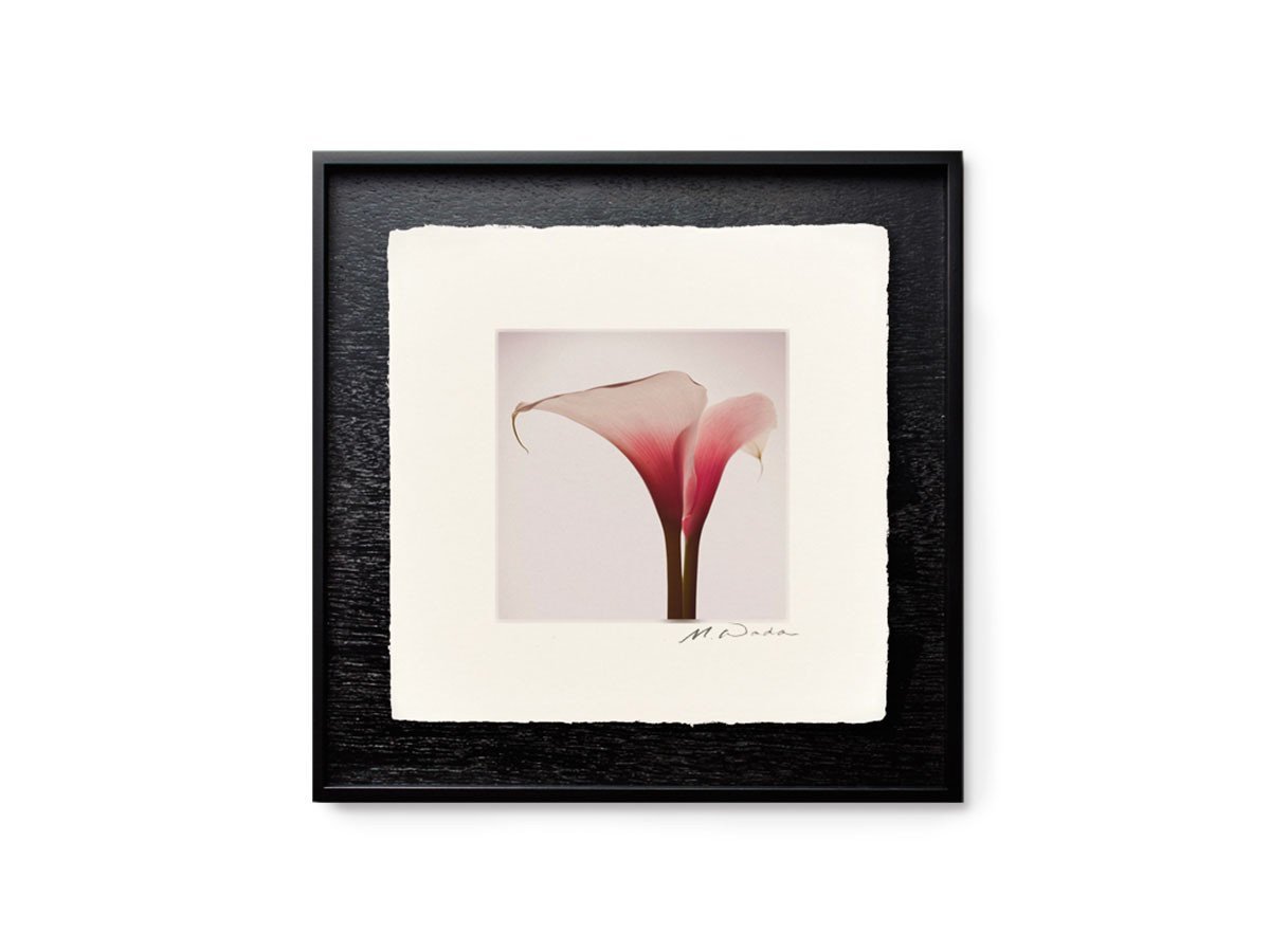 【アイグレボゥ/IGREBOW / GOODS】のカラー / カラー 1 × 1[ CF-66-2 ] インテリア・キッズ・メンズ・レディースファッション・服の通販 founy(ファニー) 　送料無料　Free Shipping　フラット　Flat, Flat Shoes　プリント　Print, Printed Pattern　モダン　Modern, Contemporary　ランダム　Random, Irregular　額装タイプ:和紙用木製額|ID: prp329100004945697 ipo3291000000037120427