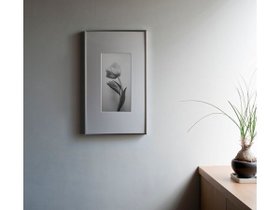 【アイグレボゥ/IGREBOW / GOODS】のFLOWER / フラワー1 × 2[ f_612_6 ] 人気、トレンドファッション・服の通販 founy(ファニー) 送料無料 Free Shipping アクリル Acrylic Material シンプル Simple, Minimal スタンダード Standard, Basic チューリップ Tube, Tube Top フォルム Silhouette, Form フラワー Flower, Floral フレーム Frame, Outline |ID:prp329100004945700