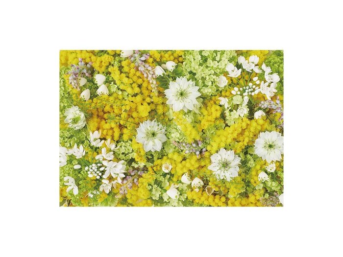 【その他のブランド/Other】のPastel Bloom Mimosa Yellow / パステルブルーム ミモザ レクタングルXL インテリア・キッズ・メンズ・レディースファッション・服の通販 founy(ファウニー) https://founy.com/ 送料無料 Free Shipping 春 Spring 軽量 Lightweight, Ultra Light |ID: prp329100004945711 ipo3291000000037120513