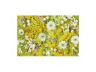 【その他のブランド/Other】のPastel Bloom Mimosa Yellow / パステルブルーム ミモザ レクタングルLL -|ID: prp329100004945712 ipo3291000000037120521