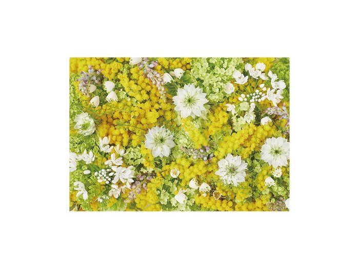 【その他のブランド/Other】のPastel Bloom Mimosa Yellow / パステルブルーム ミモザ レクタングルL インテリア・キッズ・メンズ・レディースファッション・服の通販 founy(ファウニー) https://founy.com/ 送料無料 Free Shipping 春 Spring 軽量 Lightweight, Ultra Light |ID: prp329100004945713 ipo3291000000037120527