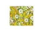 【その他のブランド/Other】のPastel Bloom Mimosa Yellow / パステルブルーム ミモザ レクタングルM -|ID: prp329100004945714 ipo3291000000037120535