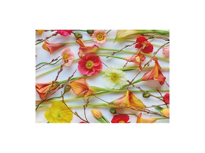 【その他のブランド/Other】のPastel Bloom Poppy&Calla / パステルブルーム ポピー&カラー レクタングルXL インテリア・キッズ・メンズ・レディースファッション・服の通販 founy(ファウニー) https://founy.com/ 送料無料 Free Shipping 軽量 Lightweight, Ultra Light |ID: prp329100004945715 ipo3291000000037120541