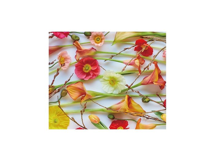 【その他のブランド/Other】のPastel Bloom Poppy&Calla / パステルブルーム ポピー&カラー レクタングルM インテリア・キッズ・メンズ・レディースファッション・服の通販 founy(ファウニー) https://founy.com/ 送料無料 Free Shipping 軽量 Lightweight, Ultra Light |ID: prp329100004945718 ipo3291000000037120560