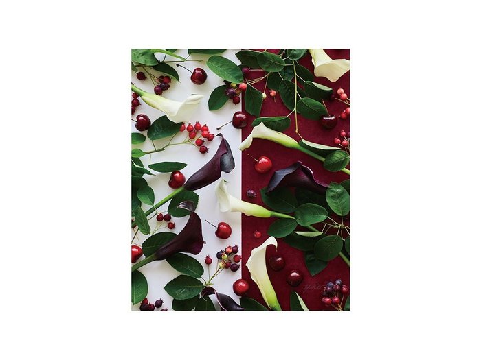 【その他のブランド/Other】のGeometric Bicolor Cherry / ジオメトリック チェリー レクタングルM インテリア・キッズ・メンズ・レディースファッション・服の通販 founy(ファウニー) https://founy.com/ 送料無料 Free Shipping チェリー Cherry, Cherry Pattern 軽量 Lightweight, Ultra Light |ID: prp329100004945723 ipo3291000000037120594
