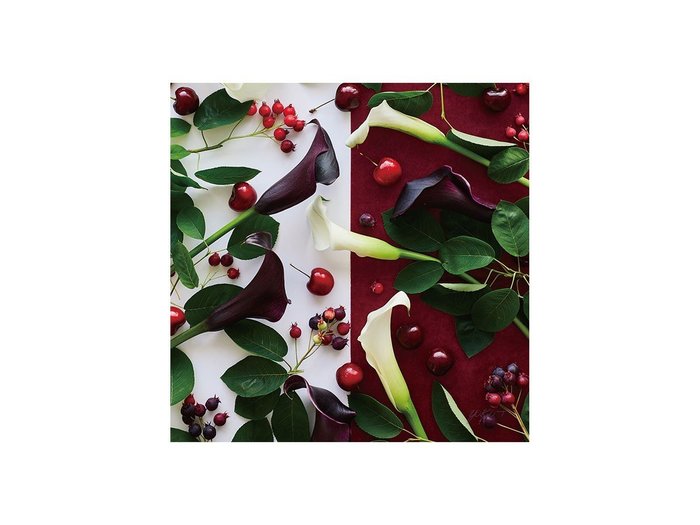 【その他のブランド/Other】のGeometric Bicolor Cherry / ジオメトリック チェリー スクエア インテリア・キッズ・メンズ・レディースファッション・服の通販 founy(ファウニー) https://founy.com/ 送料無料 Free Shipping スクエア Square, Square Shape チェリー Cherry, Cherry Pattern 軽量 Lightweight, Ultra Light |ID: prp329100004945724 ipo3291000000037120601