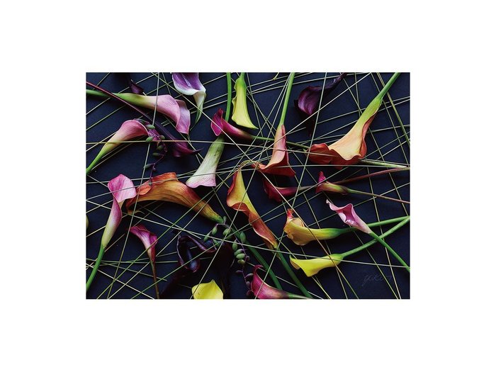 【その他のブランド/Other】のGeometric Scrumble Calla / ジオメトリック スクランブルカラー レクタングルXL インテリア・キッズ・メンズ・レディースファッション・服の通販 founy(ファウニー) https://founy.com/ 送料無料 Free Shipping グラス Glass, Eyewear 軽量 Lightweight, Ultra Light |ID: prp329100004945738 ipo3291000000037120701