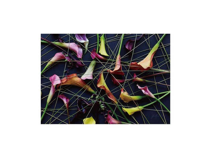 【その他のブランド/Other】のGeometric Scrumble Calla / ジオメトリック スクランブルカラー レクタングルL インテリア・キッズ・メンズ・レディースファッション・服の通販 founy(ファウニー) https://founy.com/ 送料無料 Free Shipping グラス Glass, Eyewear 軽量 Lightweight, Ultra Light |ID: prp329100004945740 ipo3291000000037120714